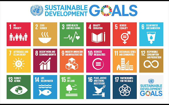 UN Sustainable Development Goals (SDGs)